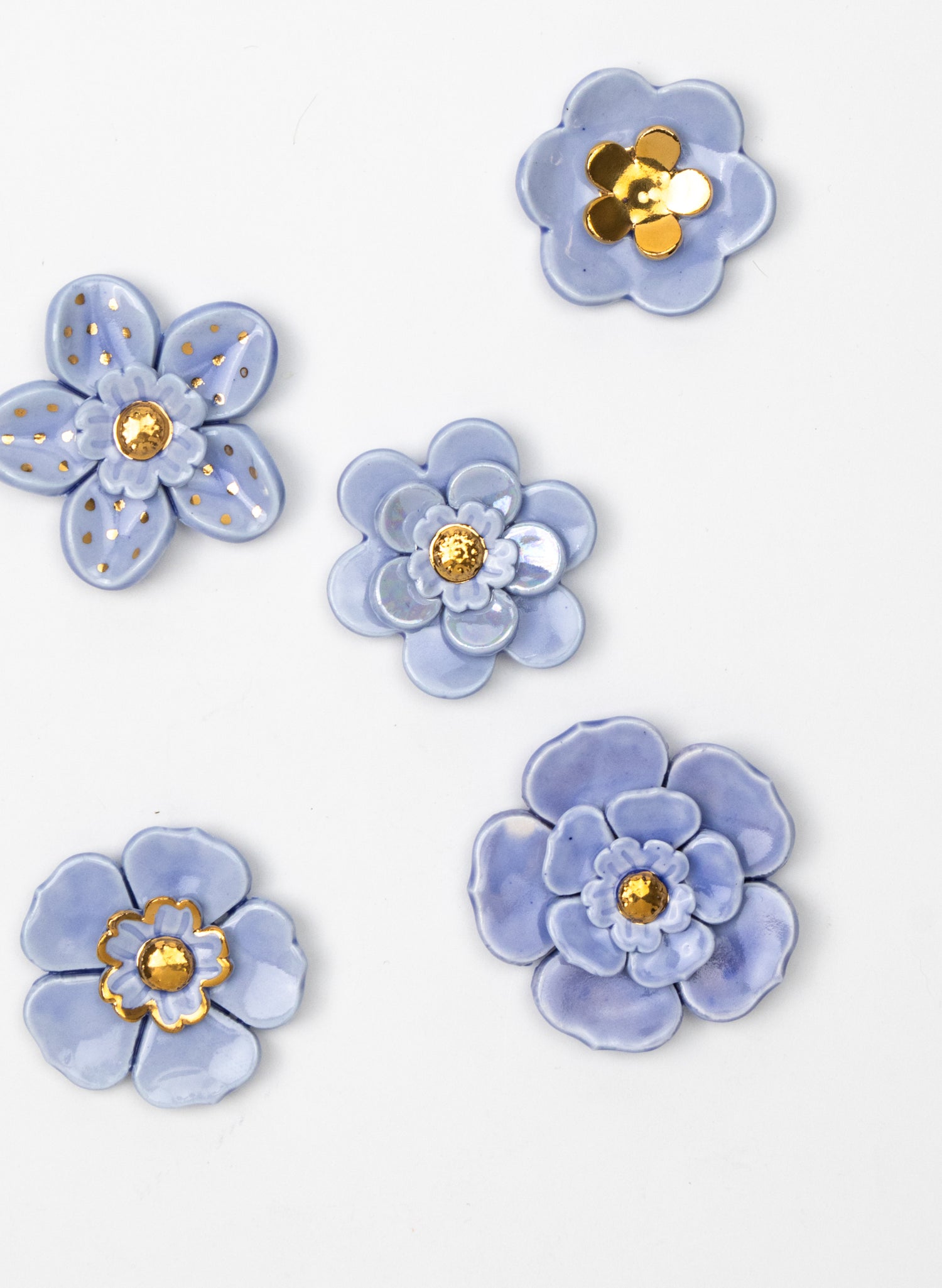 Cornflower Wall Flower with Golden Spots and Pistil