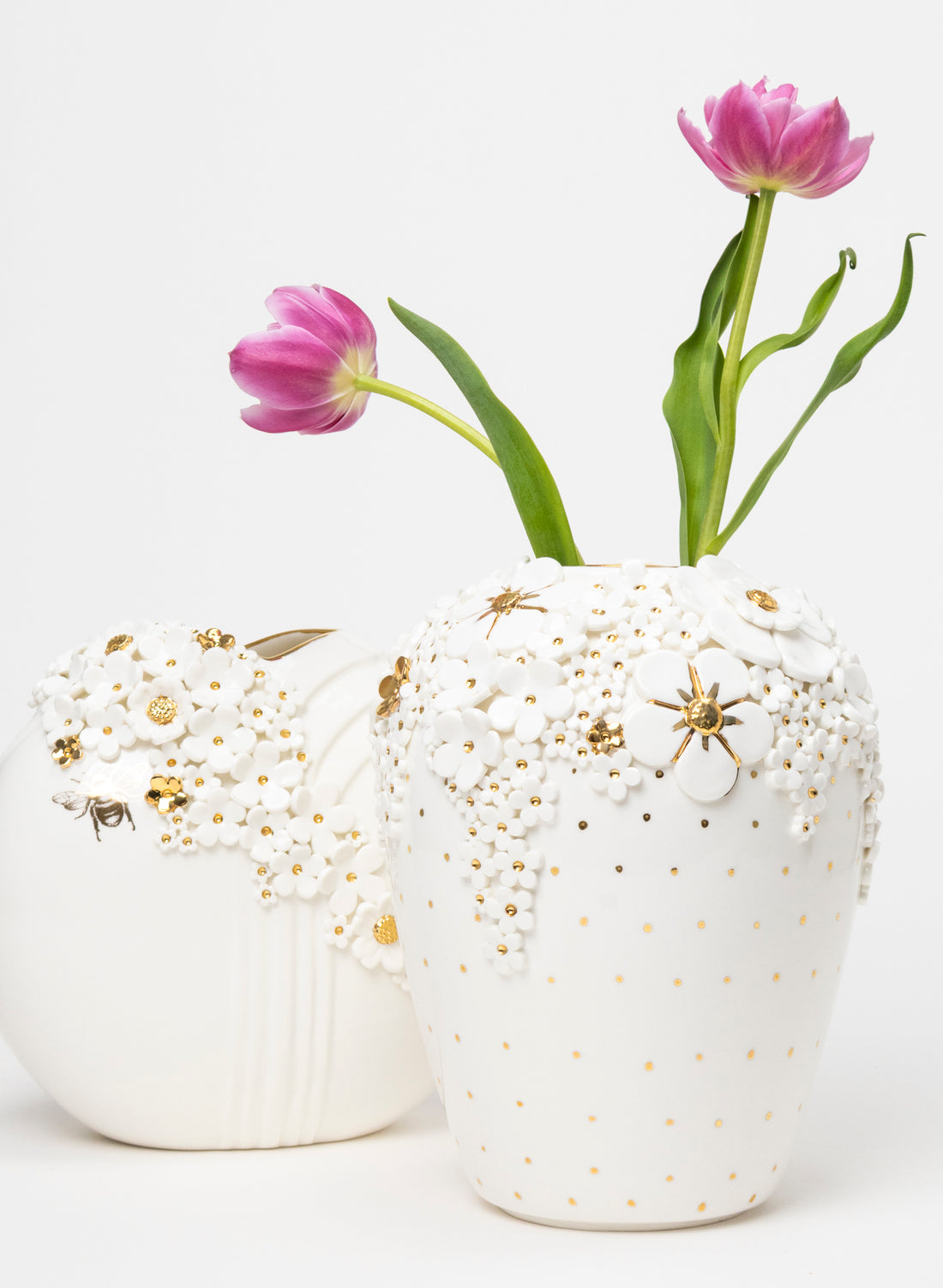 XL Ginger Jar Premium