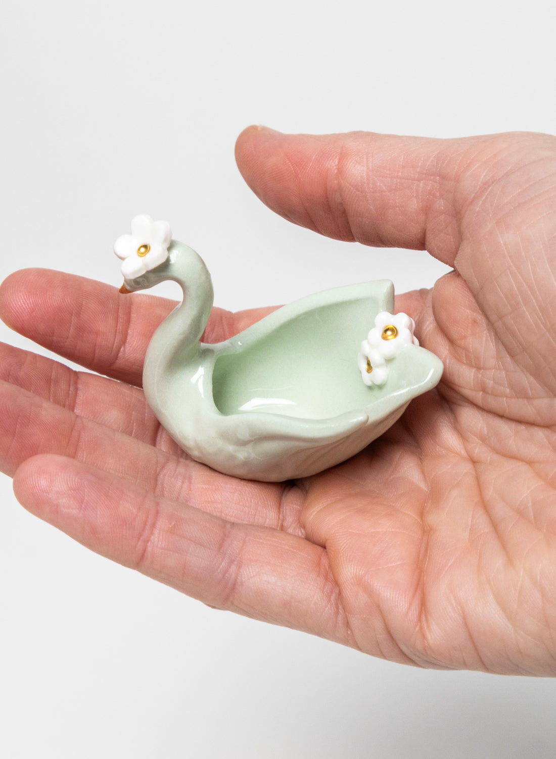 XS Small Swan