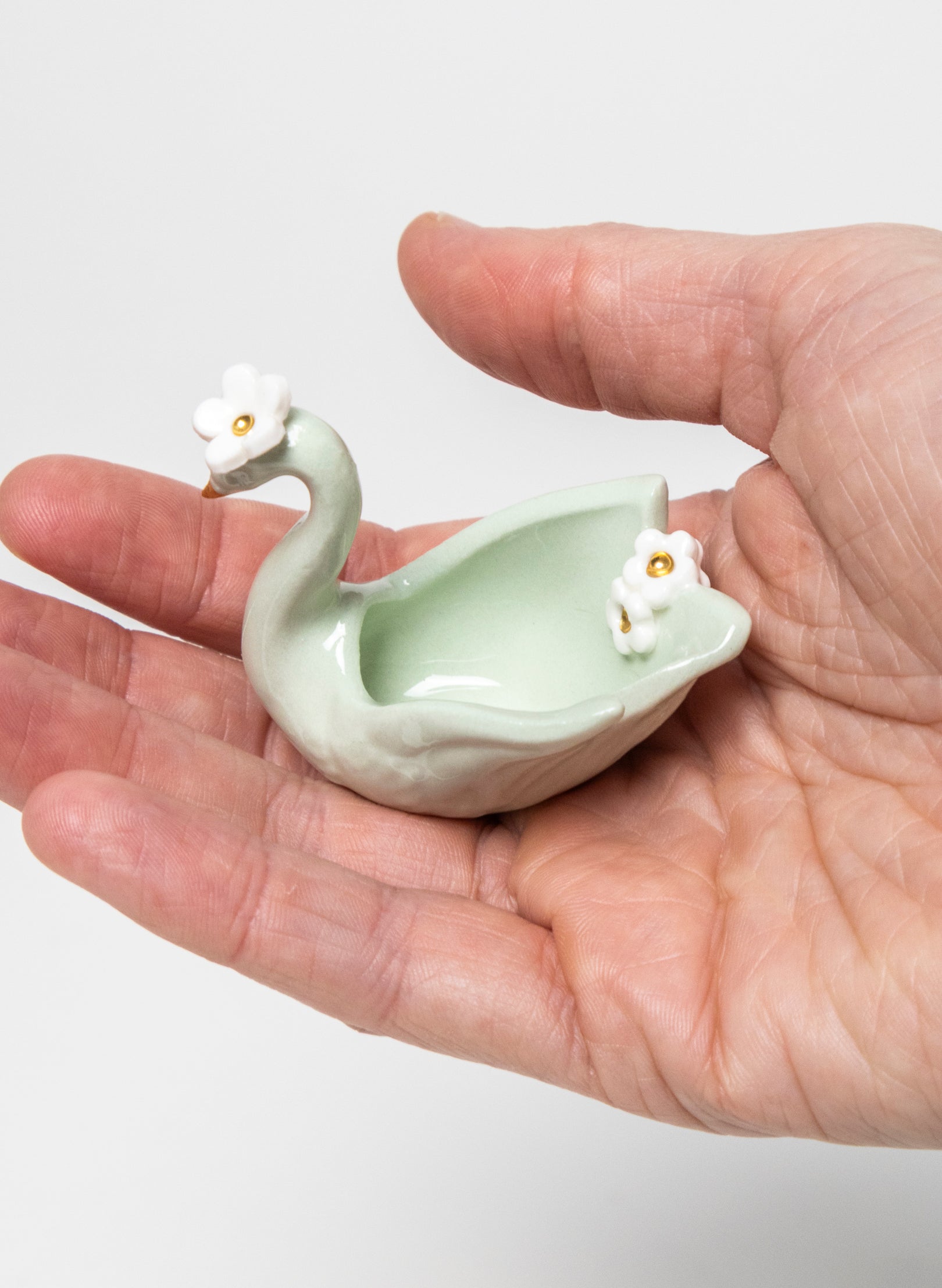 XS Small Swan