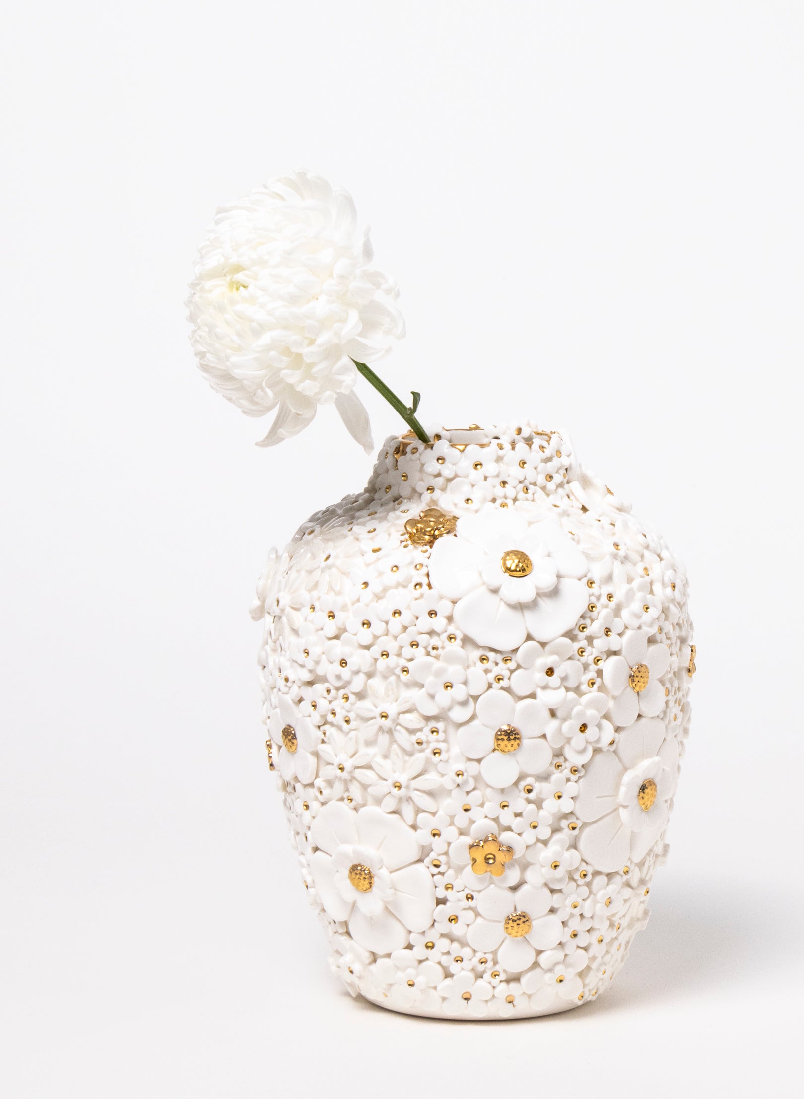 XL Ginger Jar