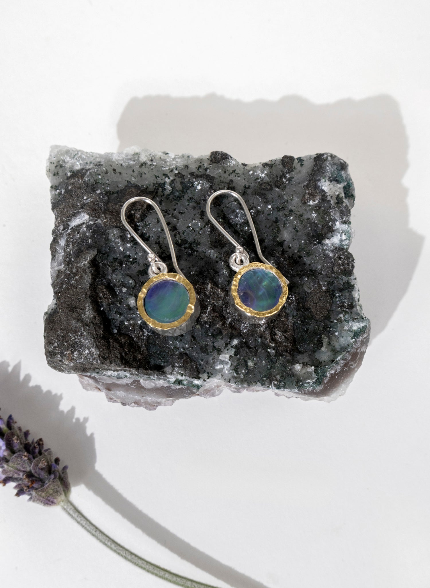 Paua Earrings
