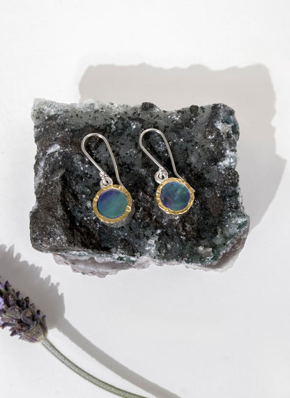 Paua Earrings
