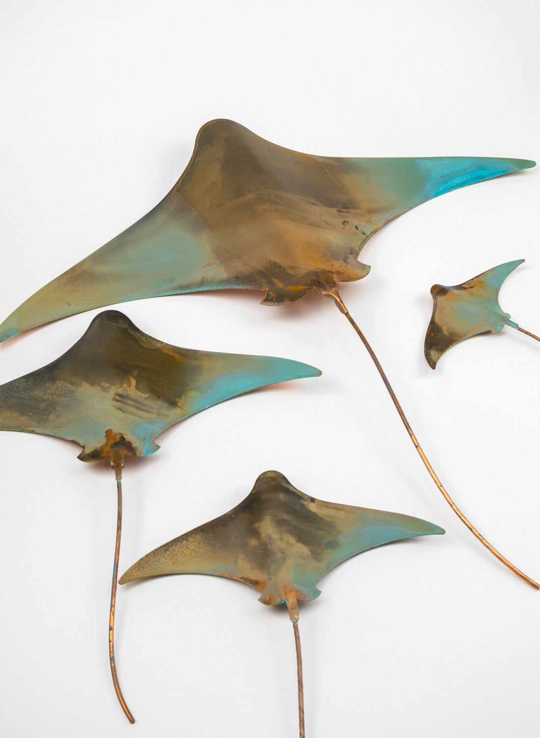 Stingray - Set of 4