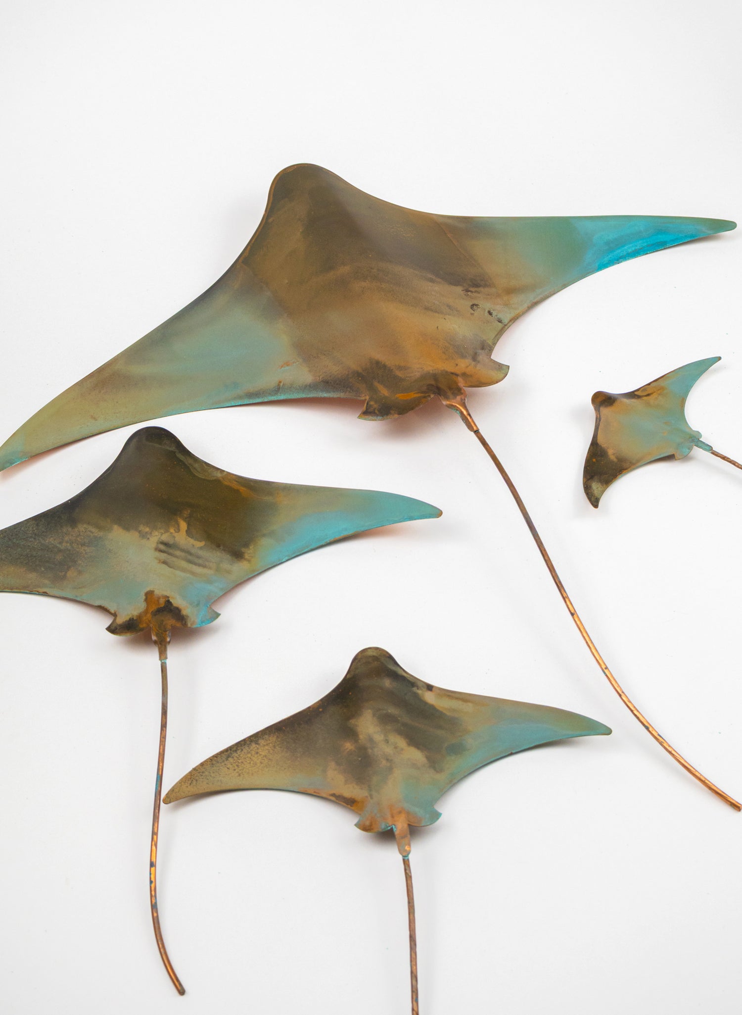 Stingray - Set of 4