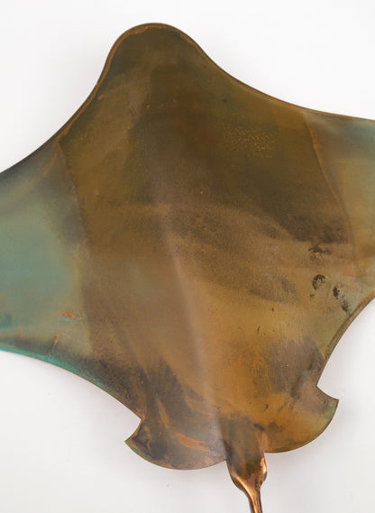 Stingray - Set of 4
