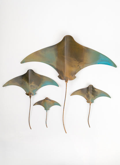 Stingray - Set of 4