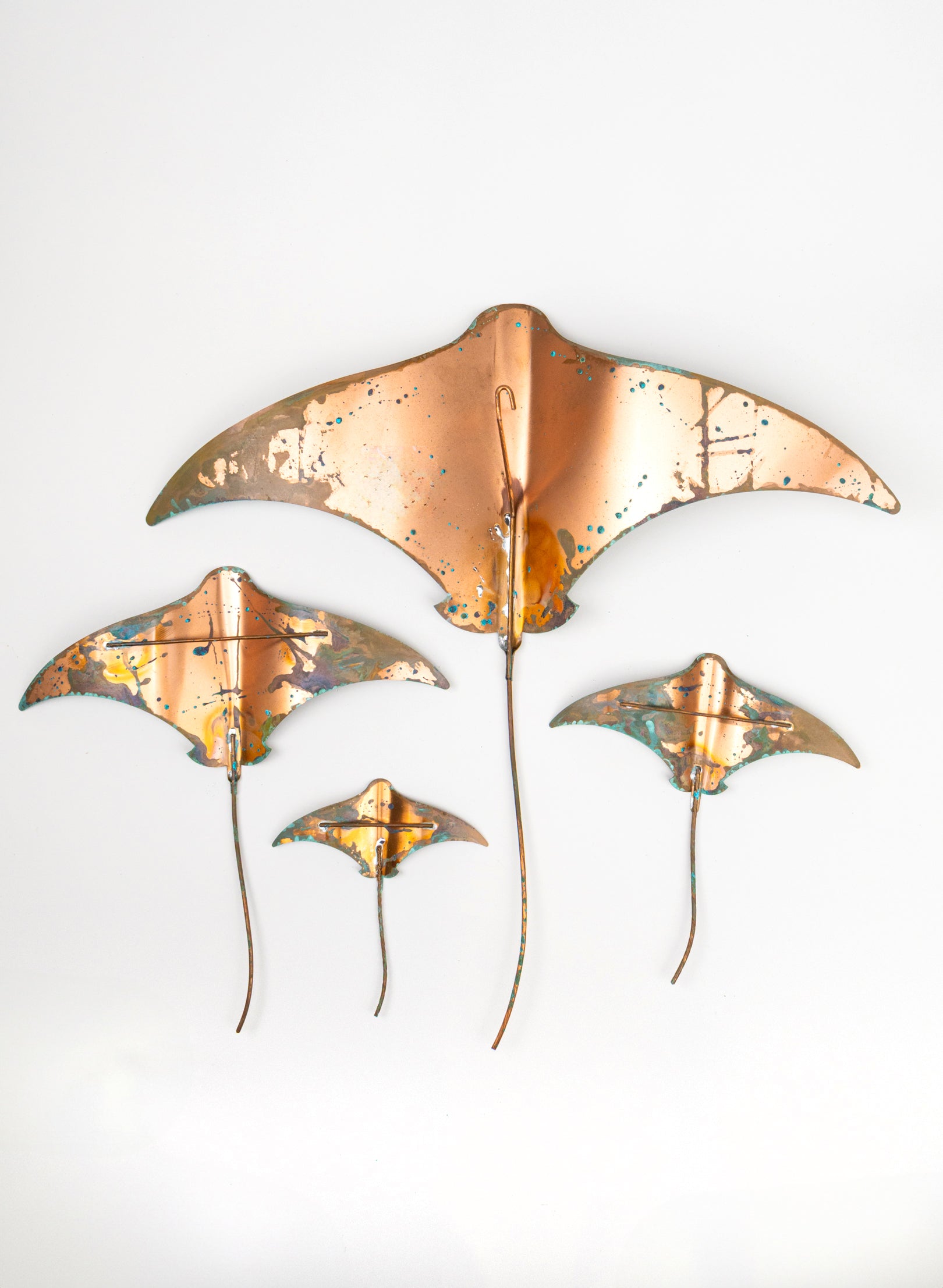 Stingray - Set of 4