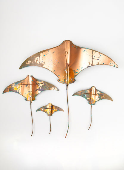 Stingray - Set of 4