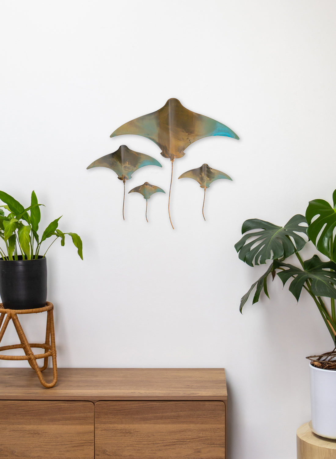 Stingray - Set of 4