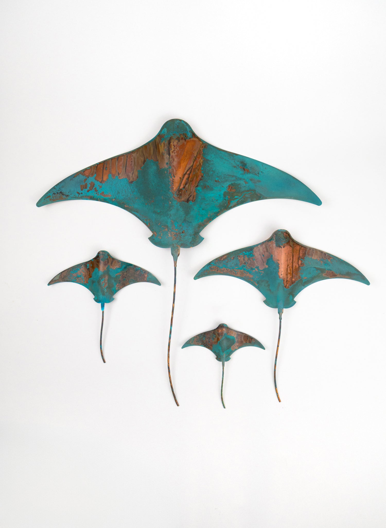 Stingray - Set of 4