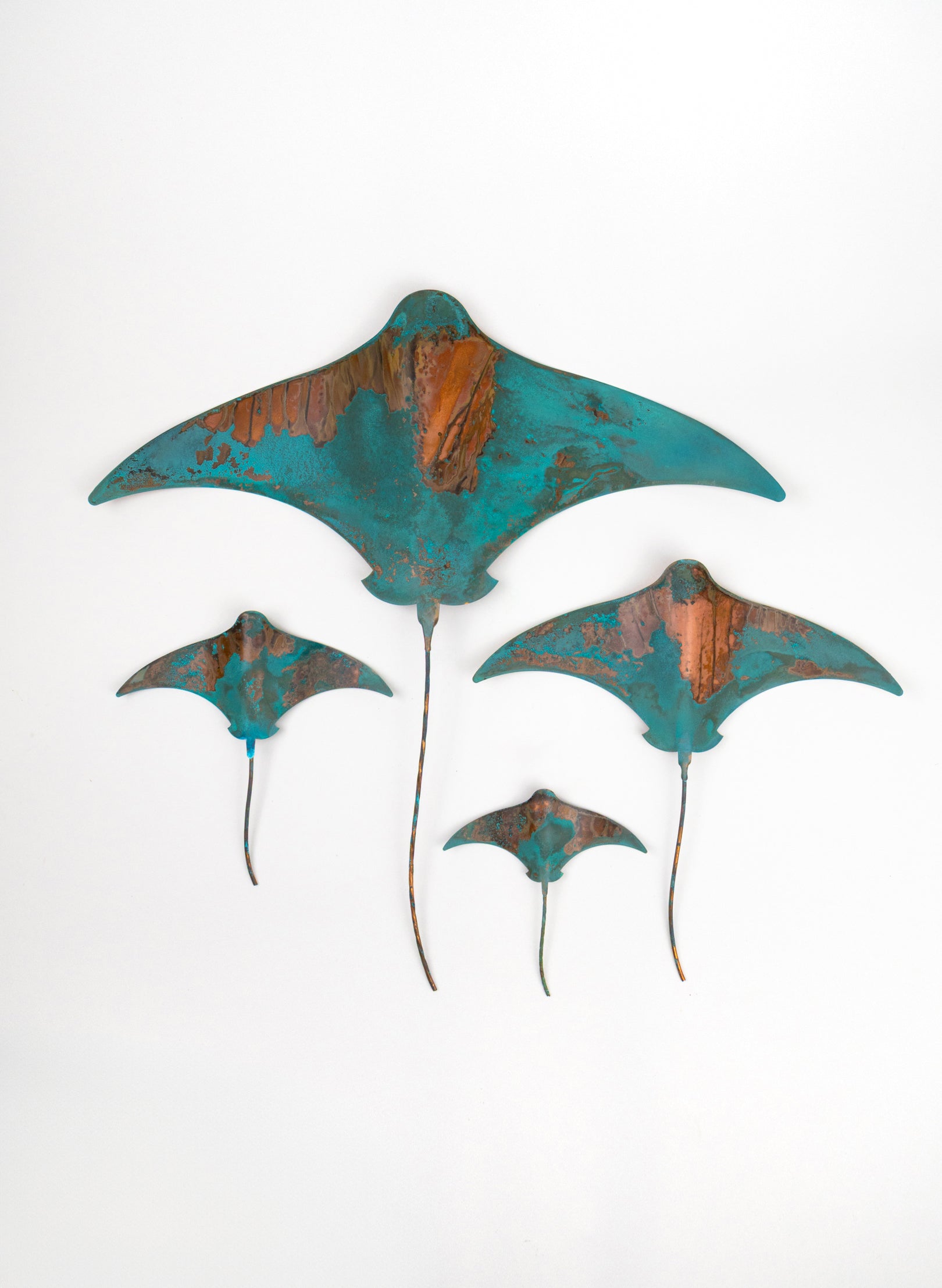Stingray - Set of 4
