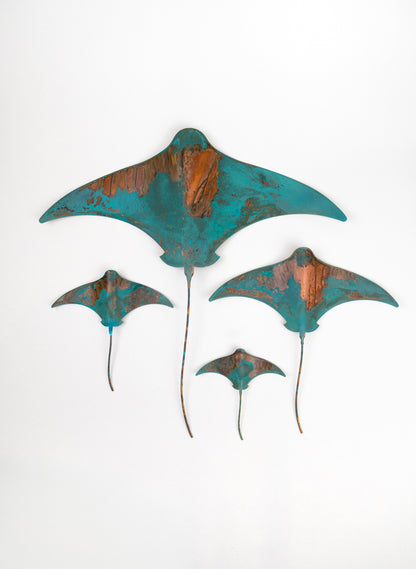 Stingray - Set of 4