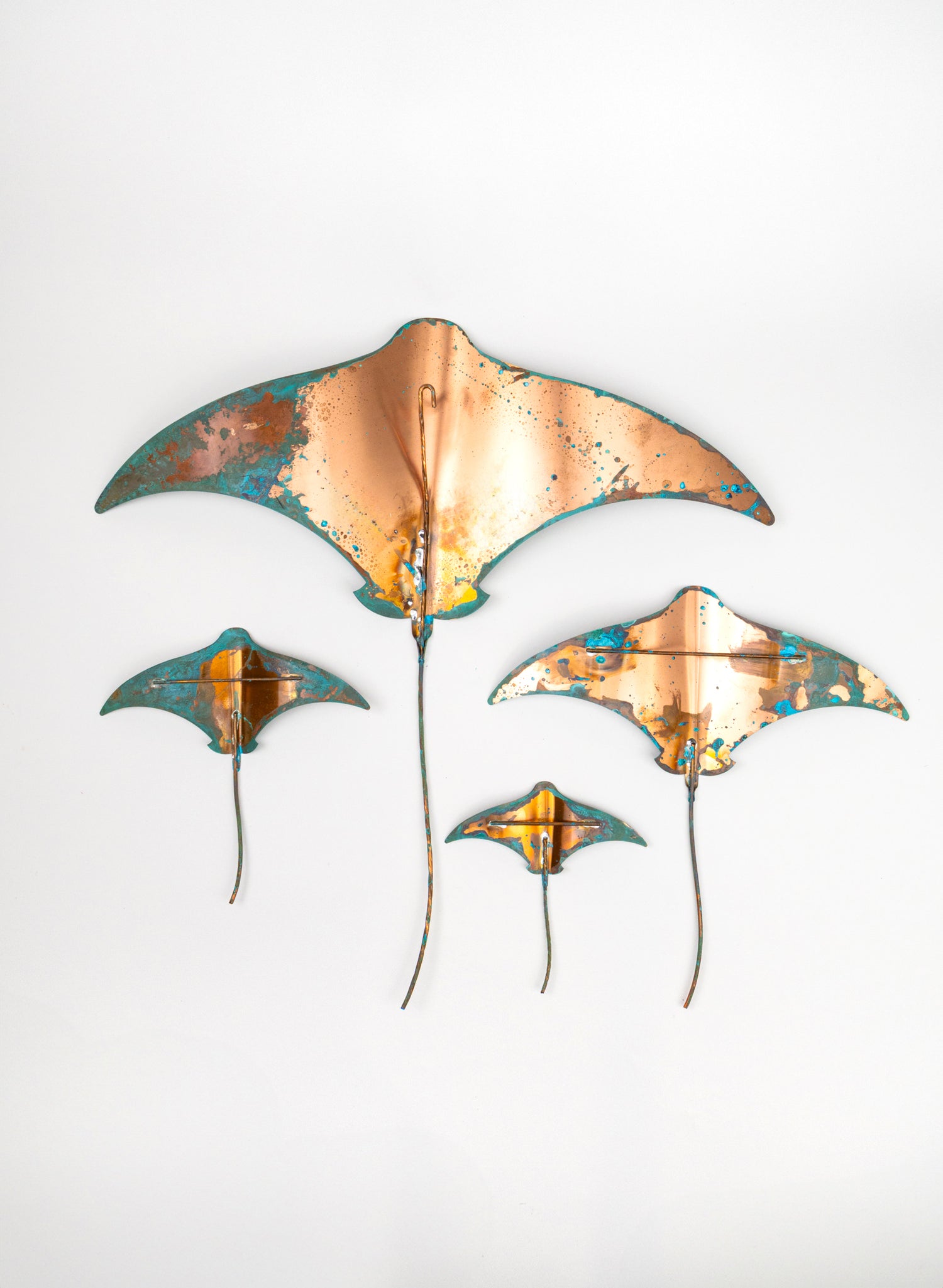 Stingray - Set of 4