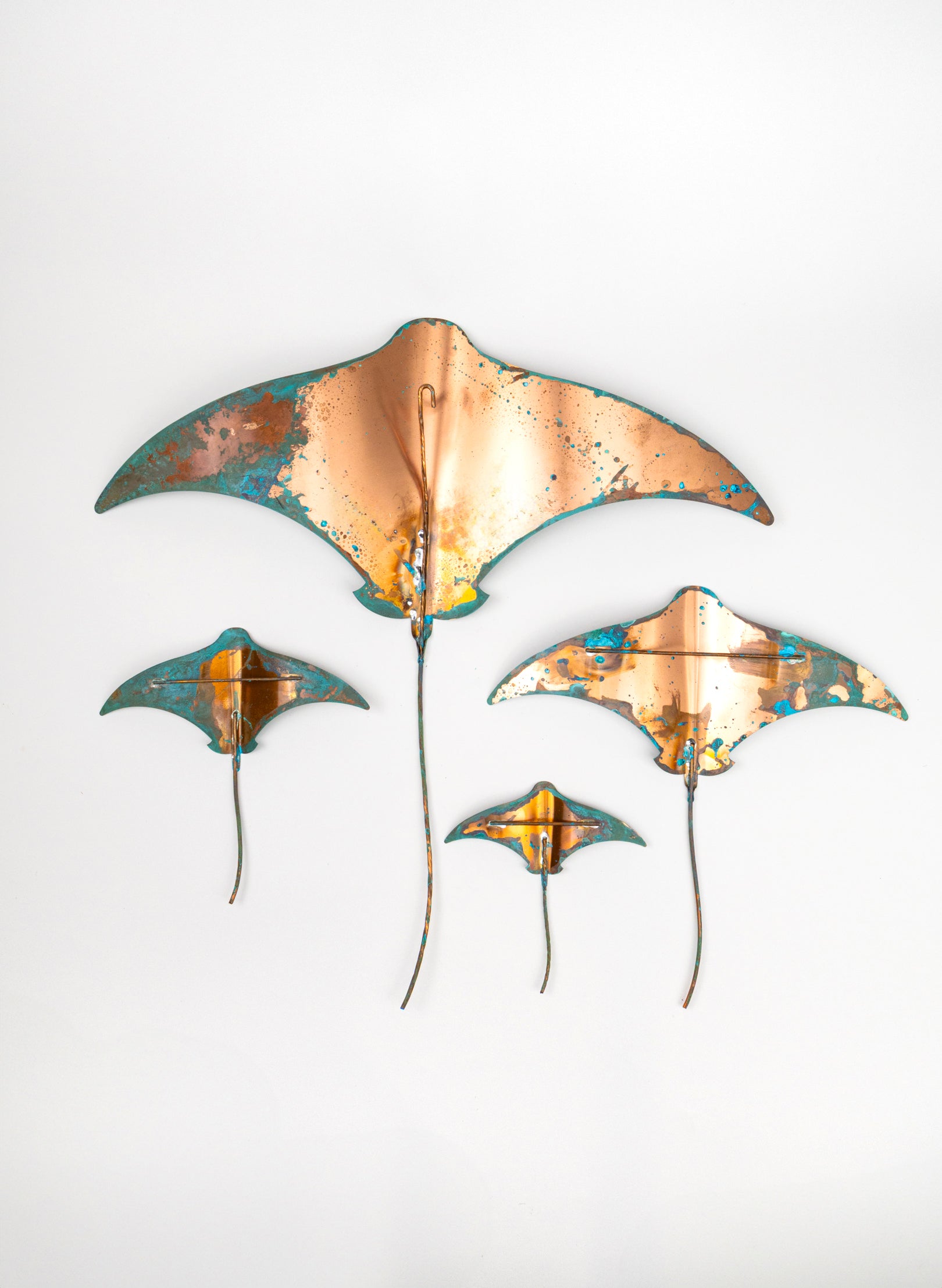 Stingray - Set of 4