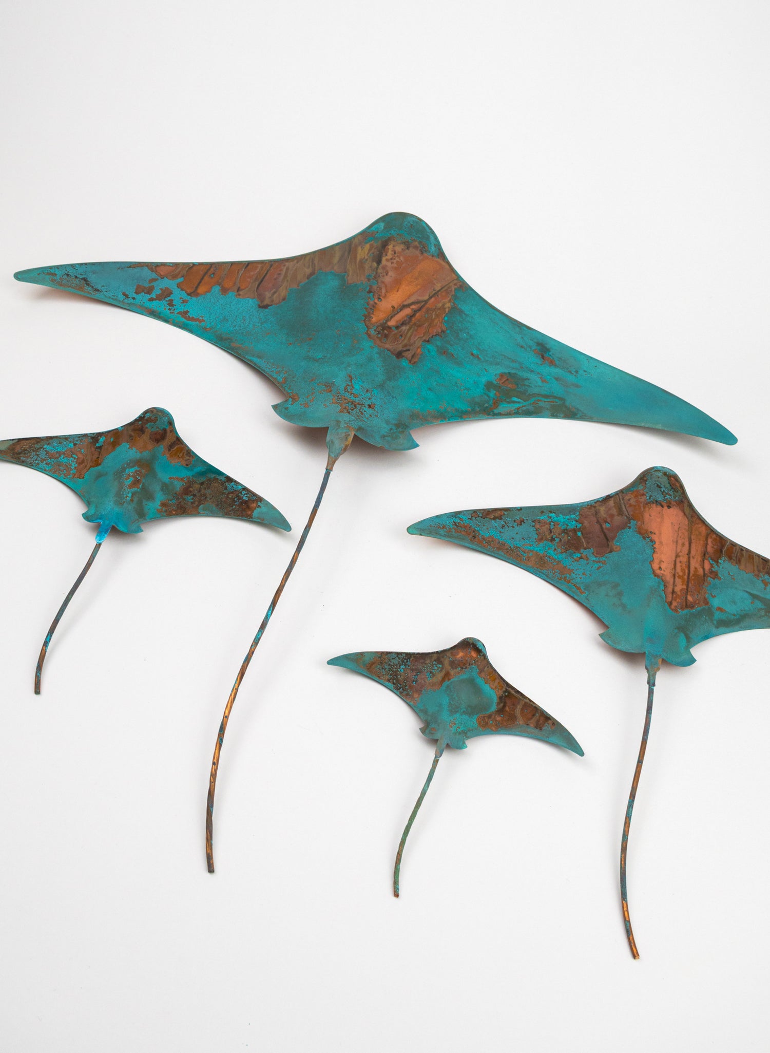 Stingray - Set of 4