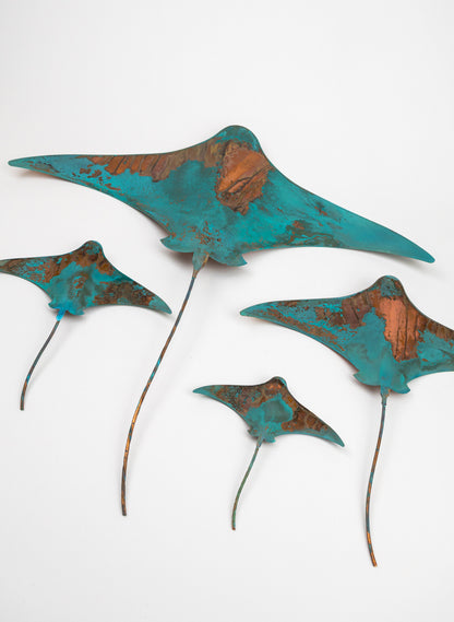 Stingray - Set of 4
