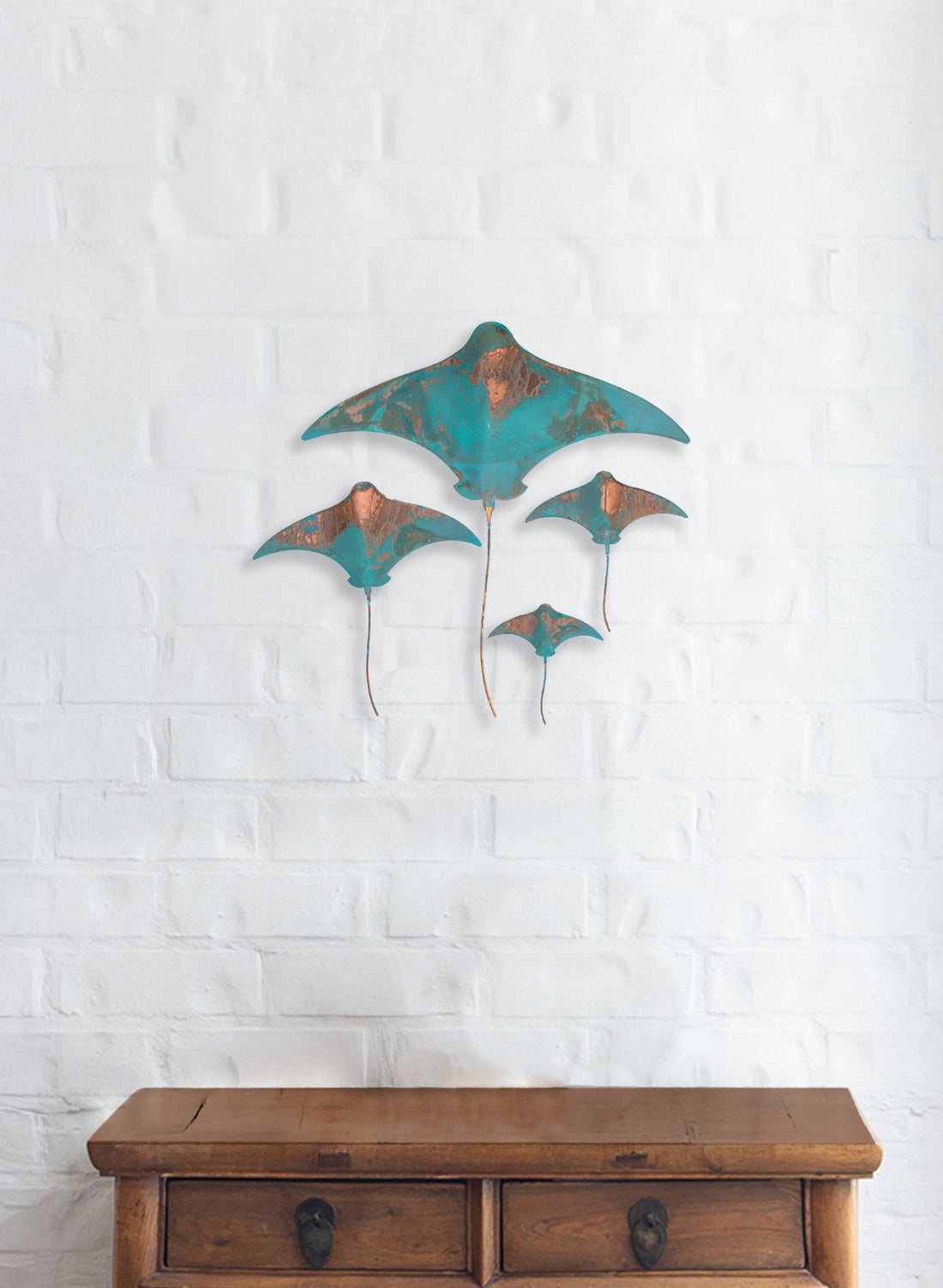 Stingray - Set of 4