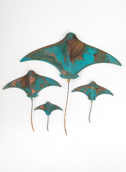 Stingray - Set of 4