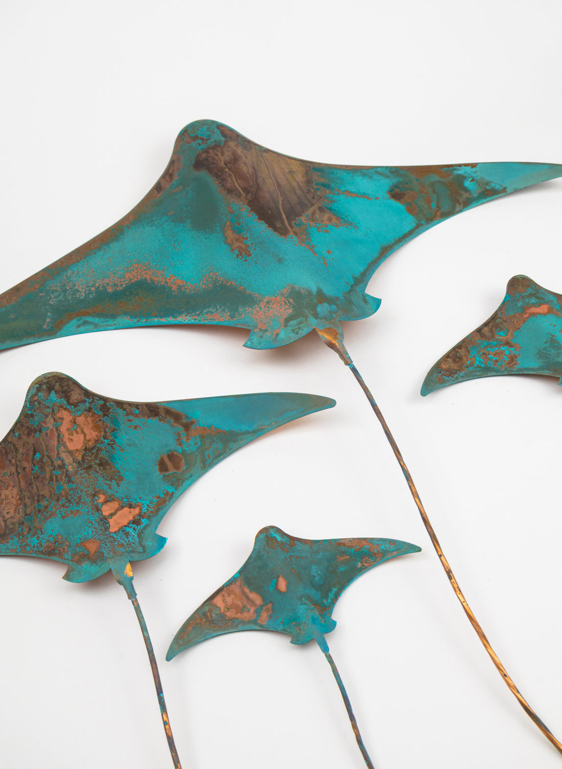 Stingray - Set of 4