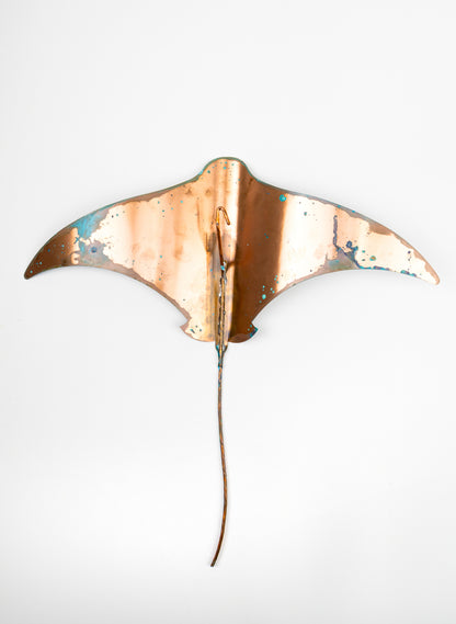 Stingray - XL