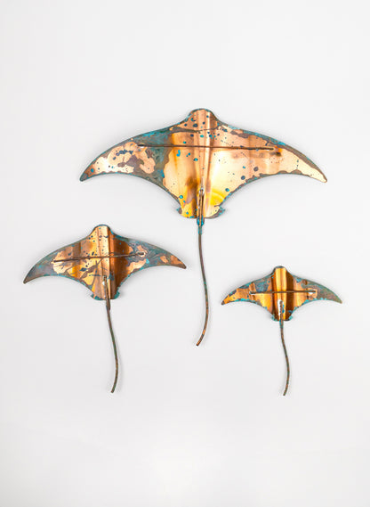 Stingray - Set of 3