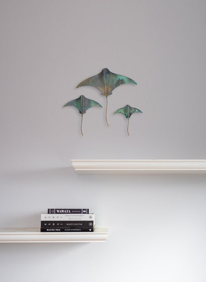 Stingray - Set of 3