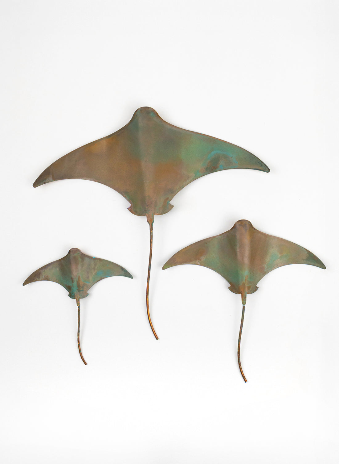 Stingray - Set of 3