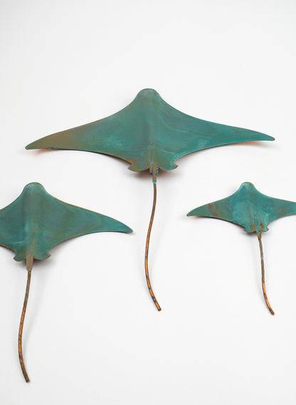 Stingray - Set of 3