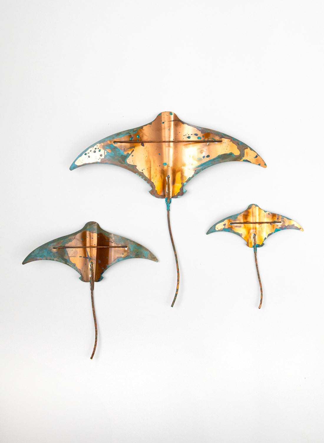 Stingray - Set of 3