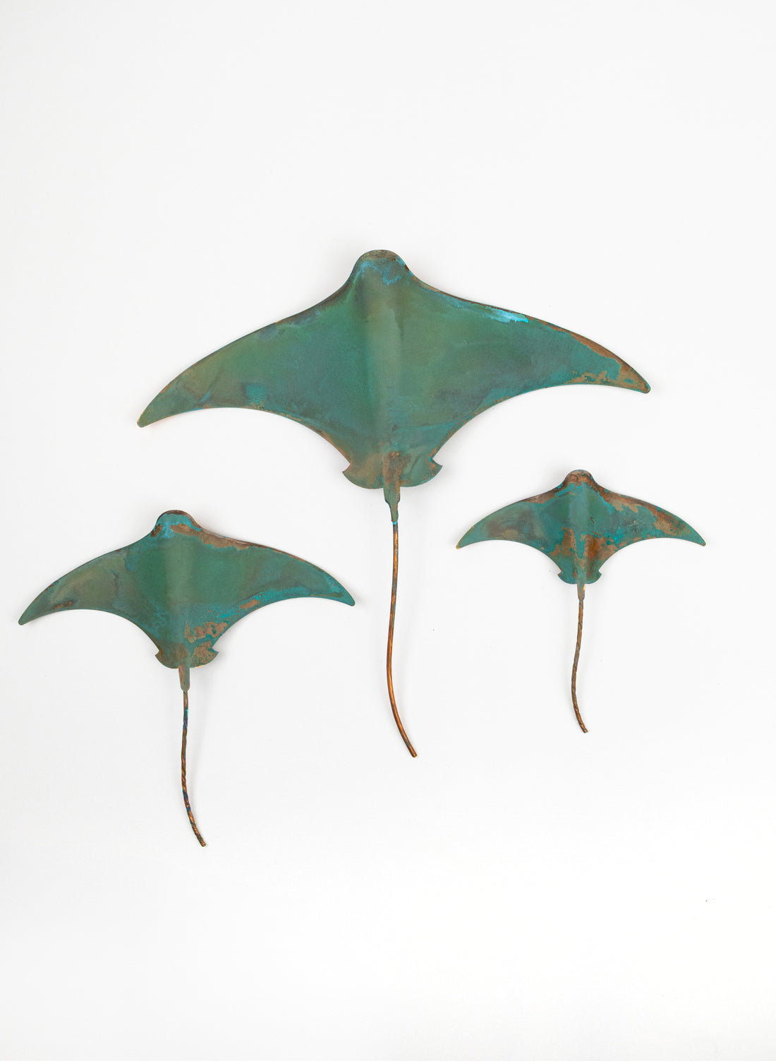 Stingray - Set of 3