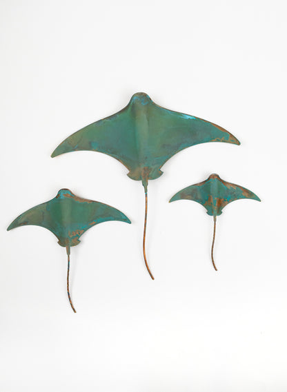 Stingray - Set of 3
