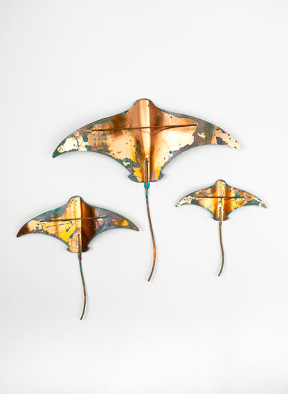 Stingray - Set of 3