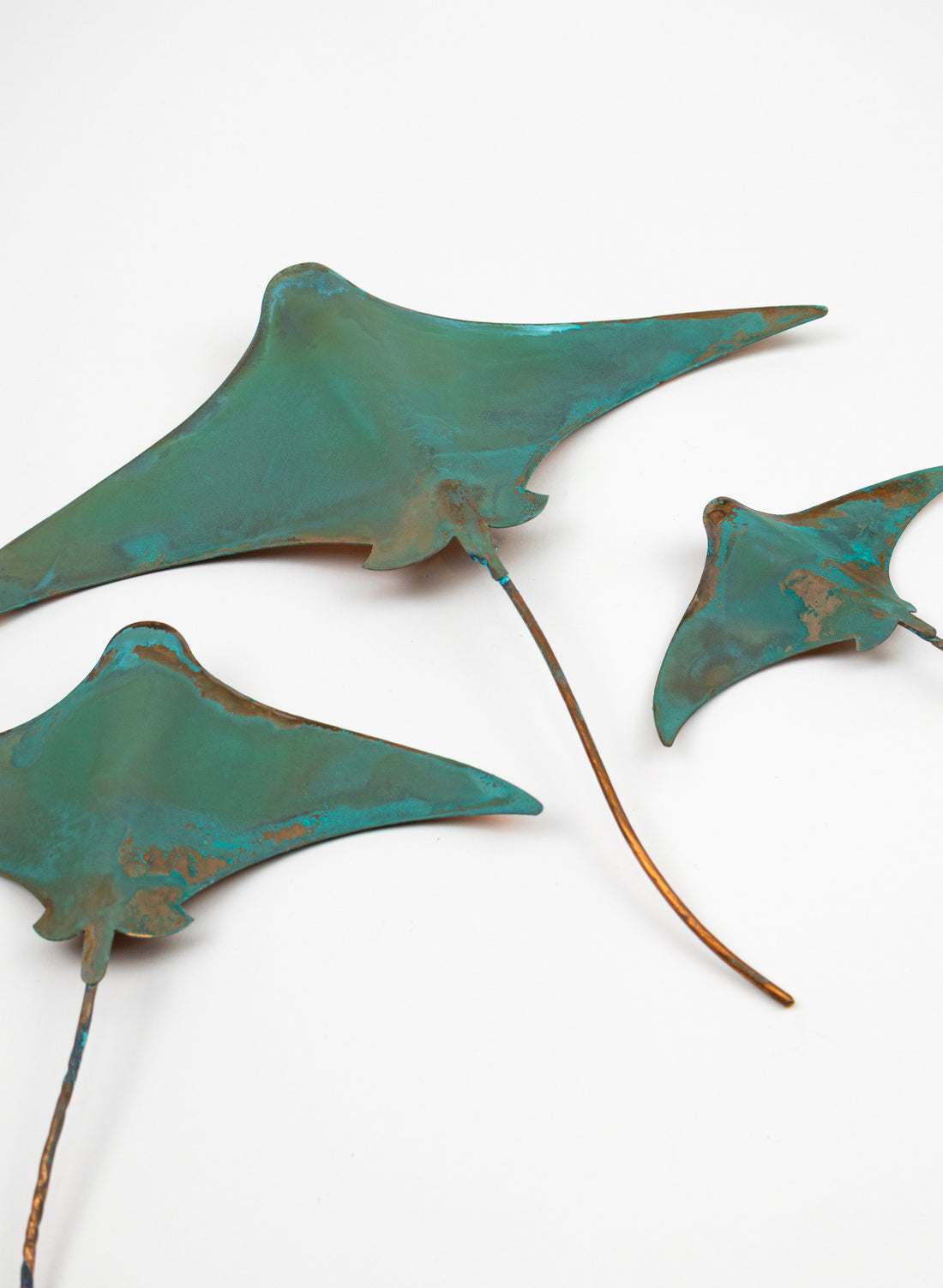 Stingray - Set of 3