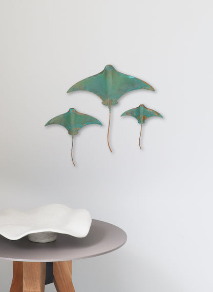 Stingray - Set of 3