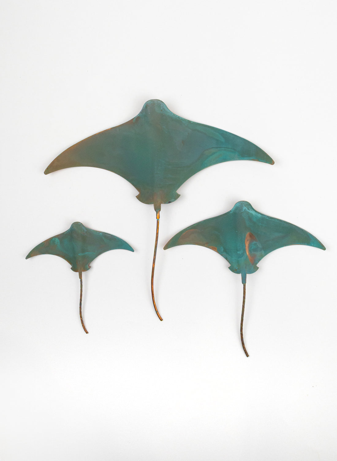 Stingray - Set of 3