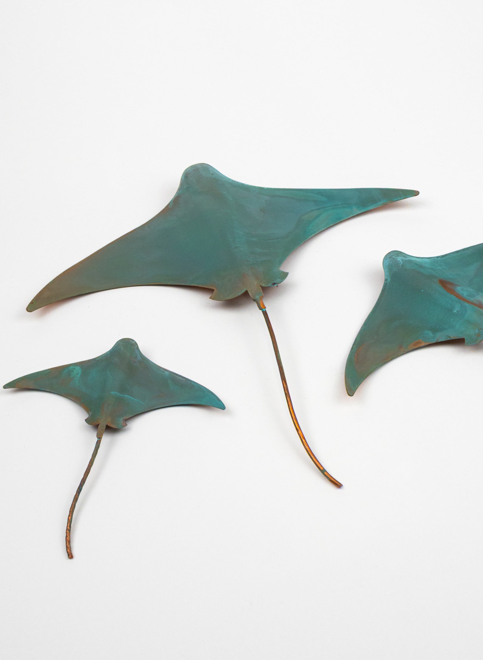 Stingray - Set of 3