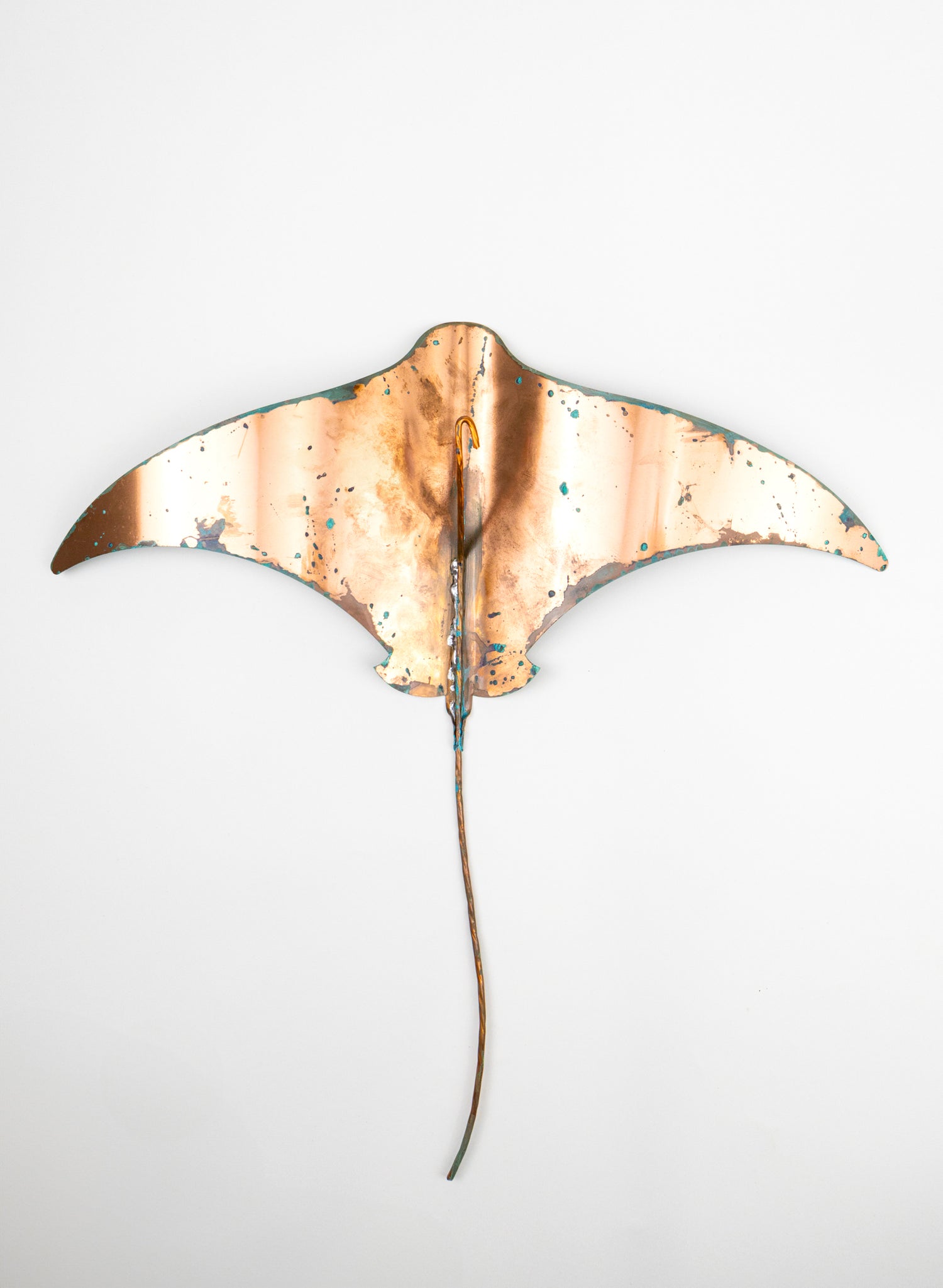 Stingray - XL