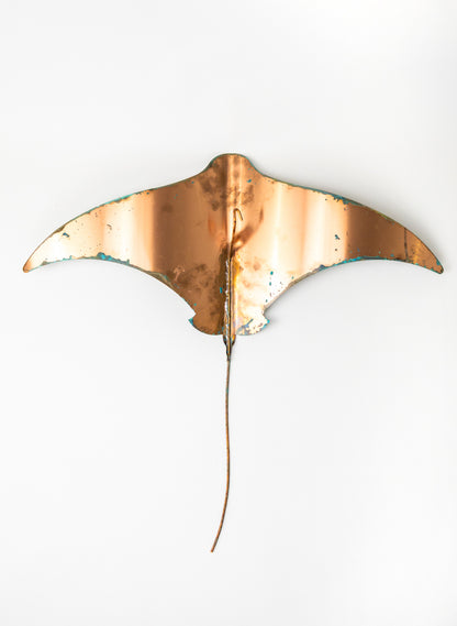 Stingray - XXL