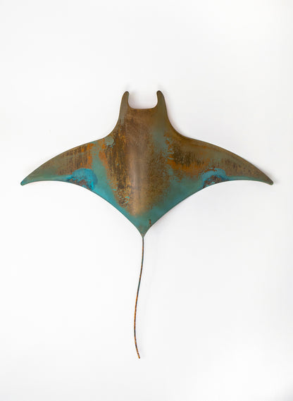 Stingray - XXL