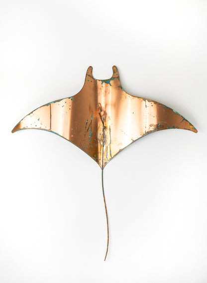 Stingray - XXL