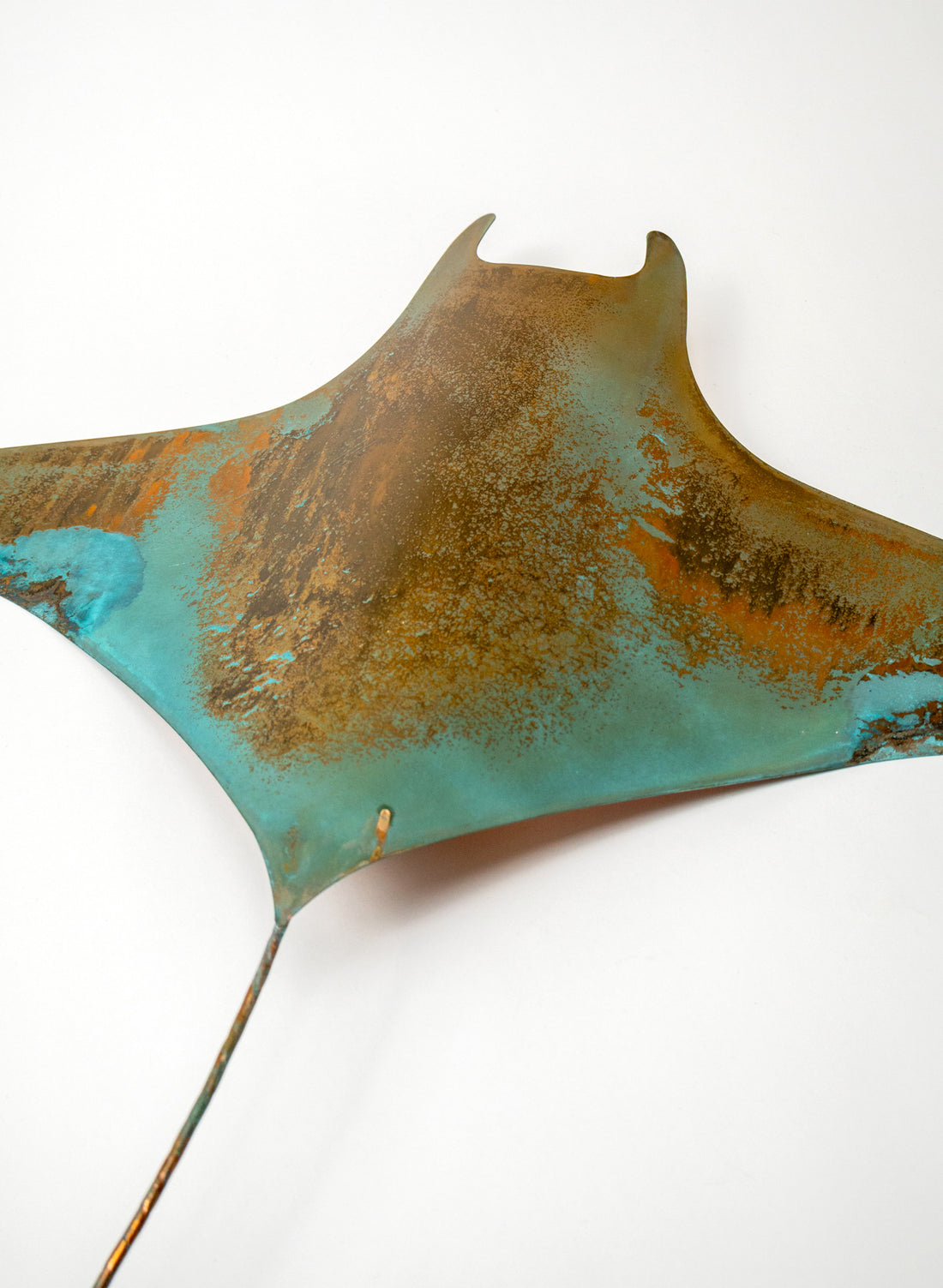 Stingray - XXL