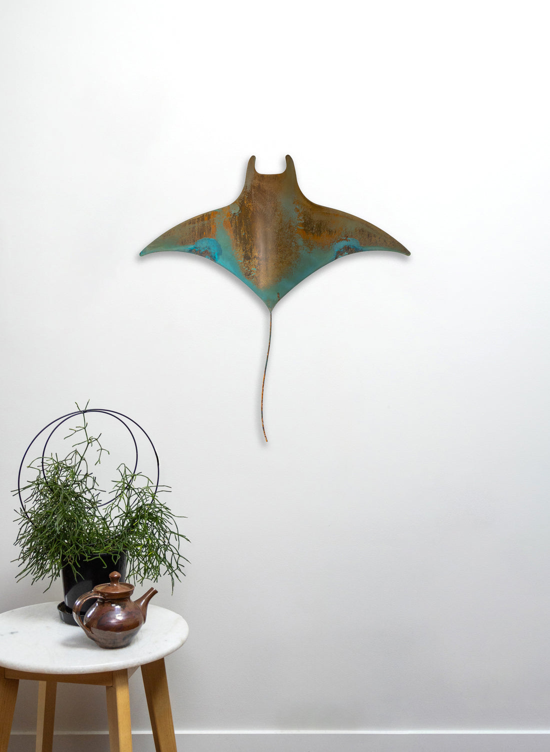 Stingray - XXL