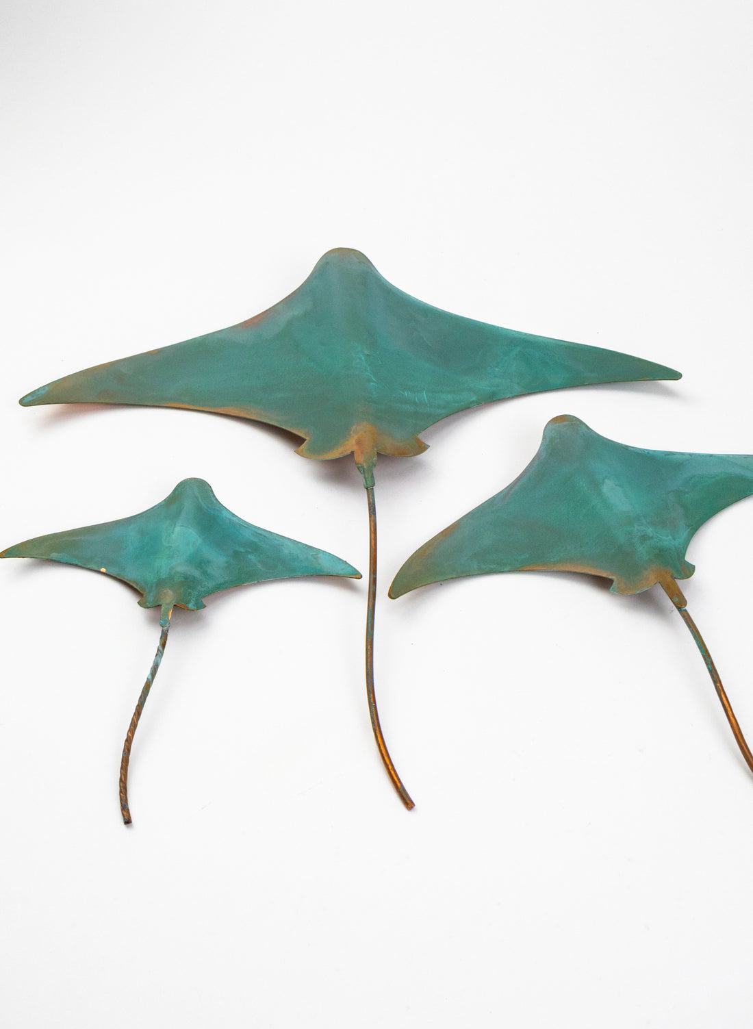 Stingray - Set of 3