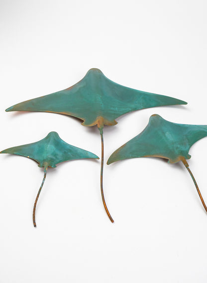 Stingray - Set of 3