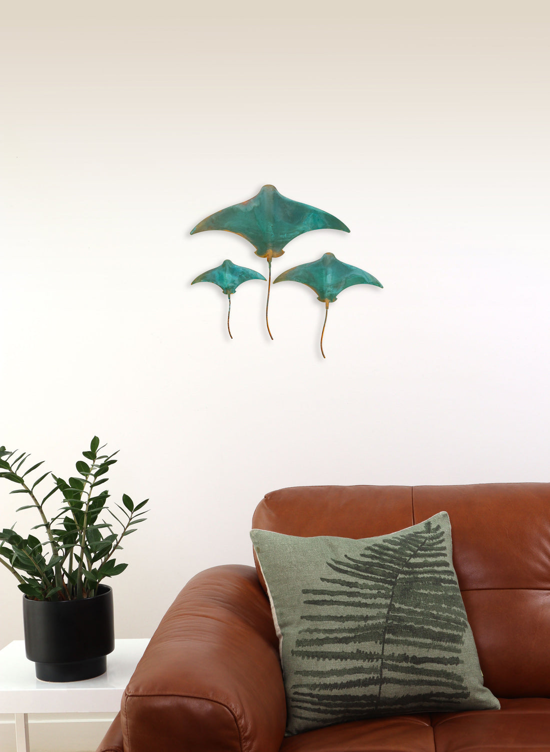 Stingray - Set of 3