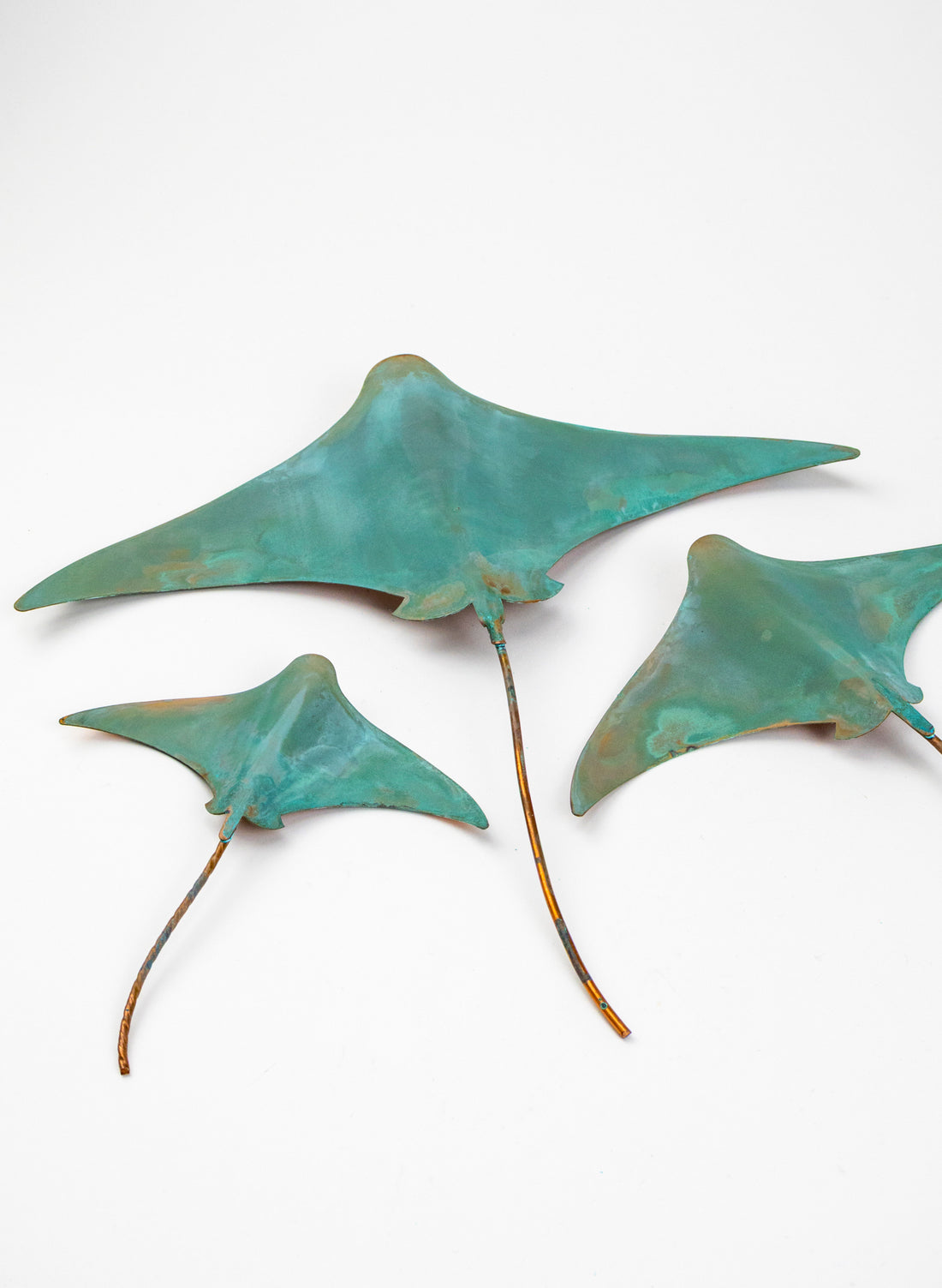 Stingray - Set of 3