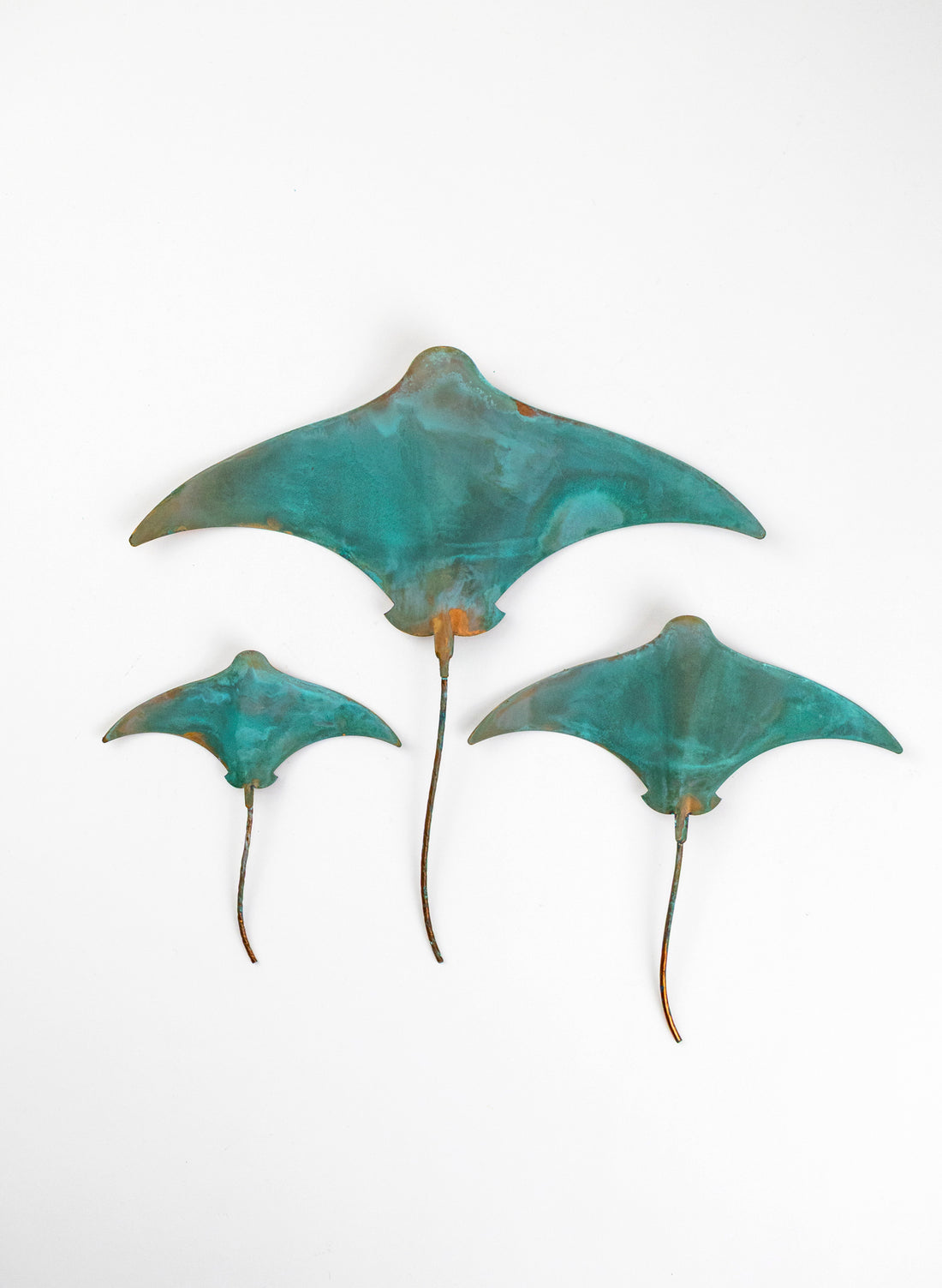 Stingray - Set of 3