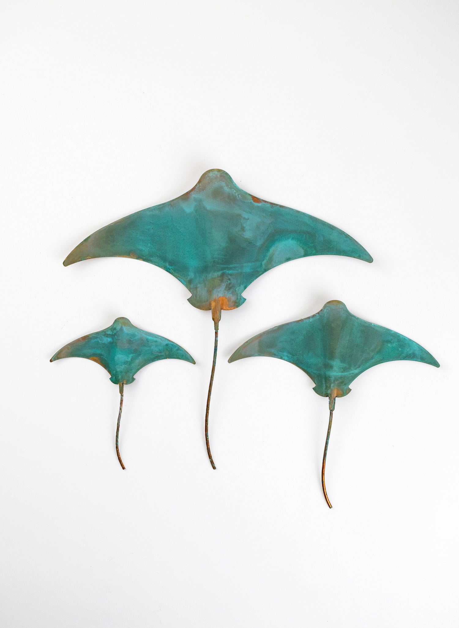 Stingray - Set of 3