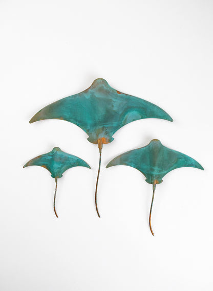 Stingray - Set of 3